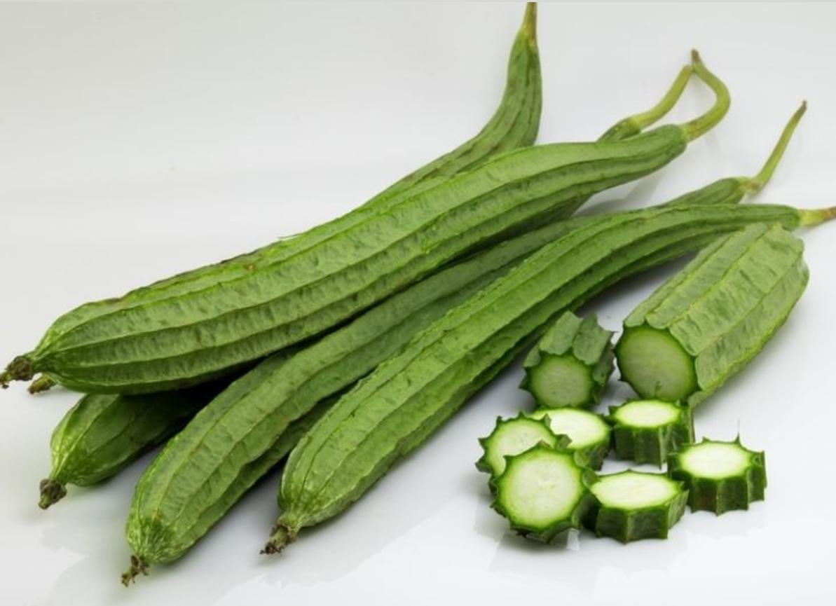Ridge Gourd