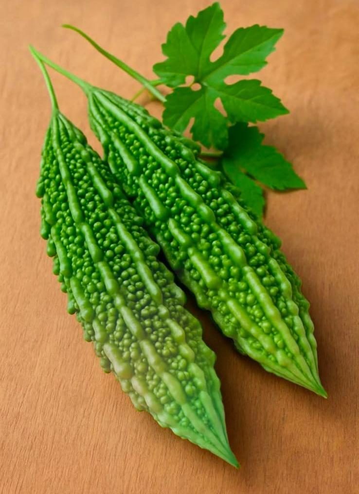 Bitter Gourd