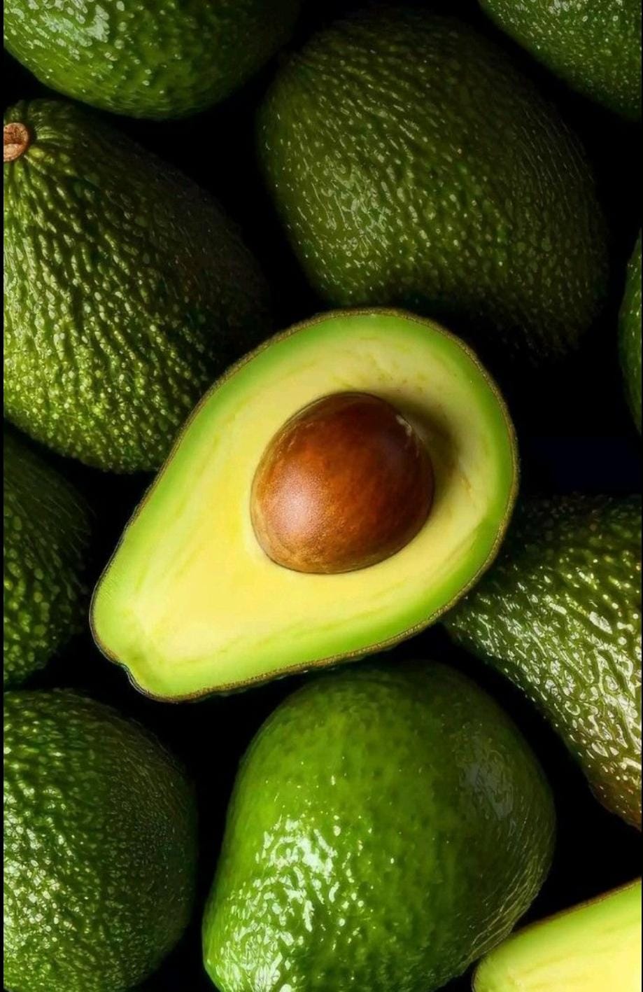 Avocado