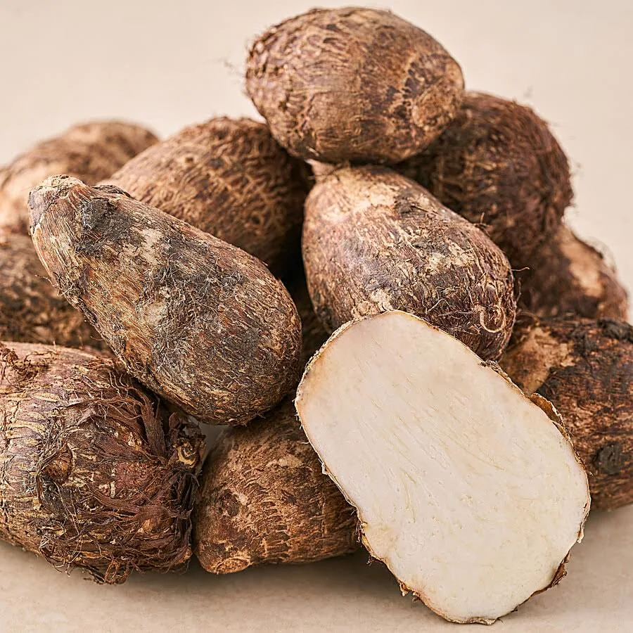 Chama Gadda (Colocasia)