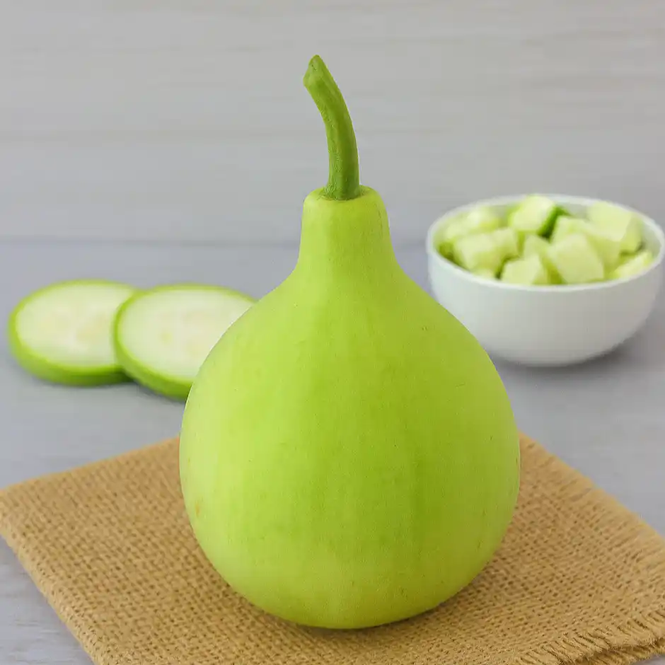 Round Sorakaya (Round Bottle Gourd)